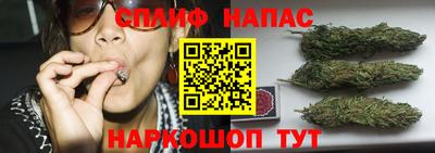 гидра Будённовск