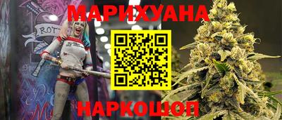 гидра Будённовск