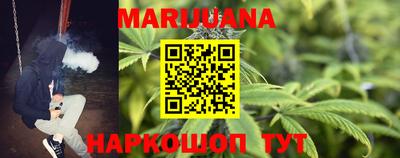 гидра Будённовск