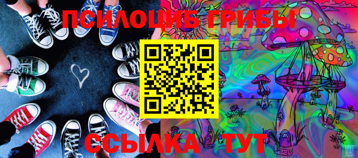 Галлюциногенные грибы Cubensis Печора